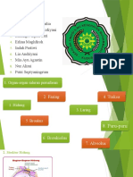 Kelompok 1 Kmb Anatomi Fisiologi Pernafasan