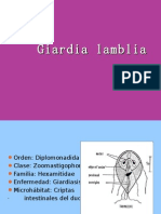 Giardia Lamblia