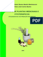 Manual de Plantas Medicinais E Fitoterápicos: Maria José Adami Bueno Beatriz Bertolaccini Martínez José Carlos Bueno
