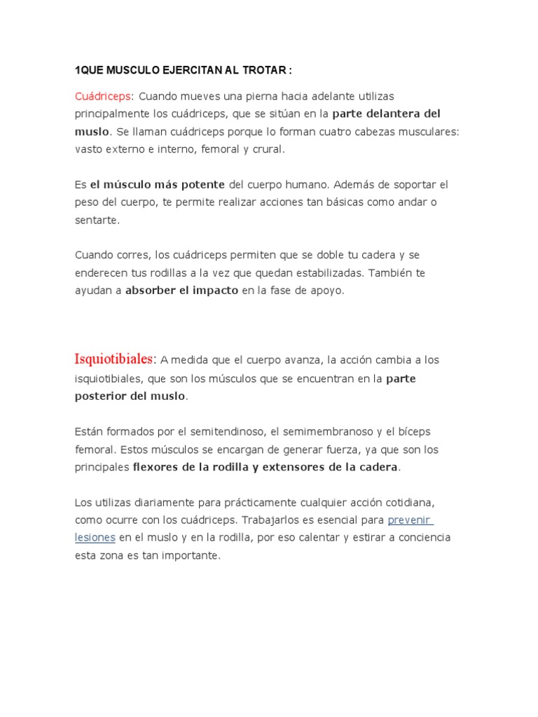 Educacion Fisica Musculo Pdf Músculo Anatomía