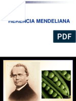 HERENCIA MENDELIANA Y TEORÍA CROMOSOMICA