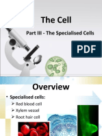 The Cell: Part III - The Specialised Cells