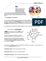 Unidad 5 Hemoglobina