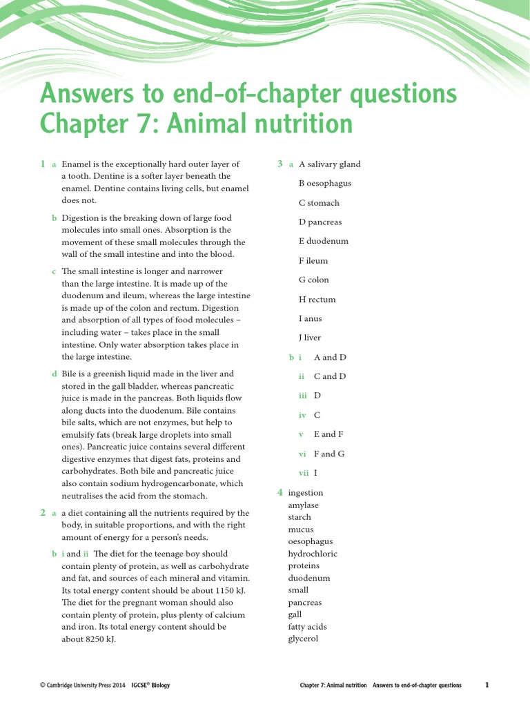 Answers To End-Of-Chapter Questions Chapter 7: Animal Nutrition | PDF |  Digestion | Pancreas