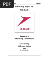 Download silkbank internship report by Irtiza Noor SN50999011 doc pdf