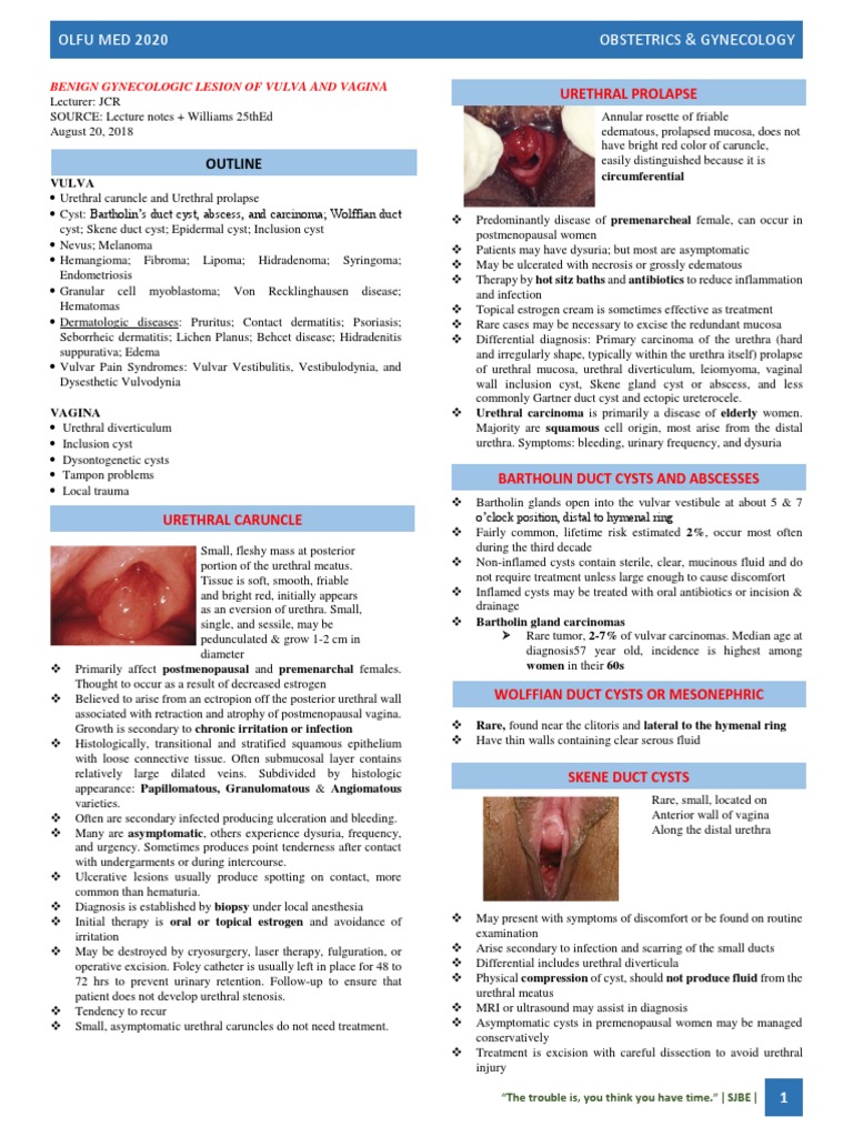 Diseases of vulva | PDF, image size:768x1024