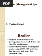 Download Broiler Management TIPS by Irfan Hashmi SN50999529 doc pdf