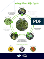 Life Cycle - Copy in Your Book