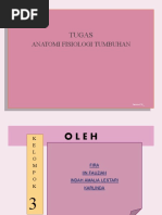 KELOMPOK 3
