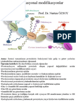 Posttranslasyonel Modifikasyonlar-2019