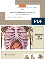 Anatomiadetorax 190306023212