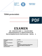Anexa 7_model structura si date de identif proiect_2021