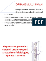 Curs 1 - Anatomie