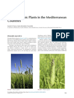 Hallucinogenic Plants in Meditarenaena