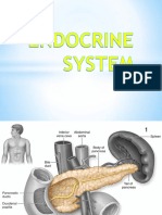 Endocrine