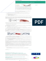 Bloque de Control Del Proceso (BCP)