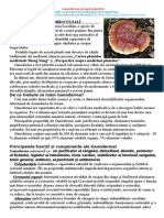 Ganoderma