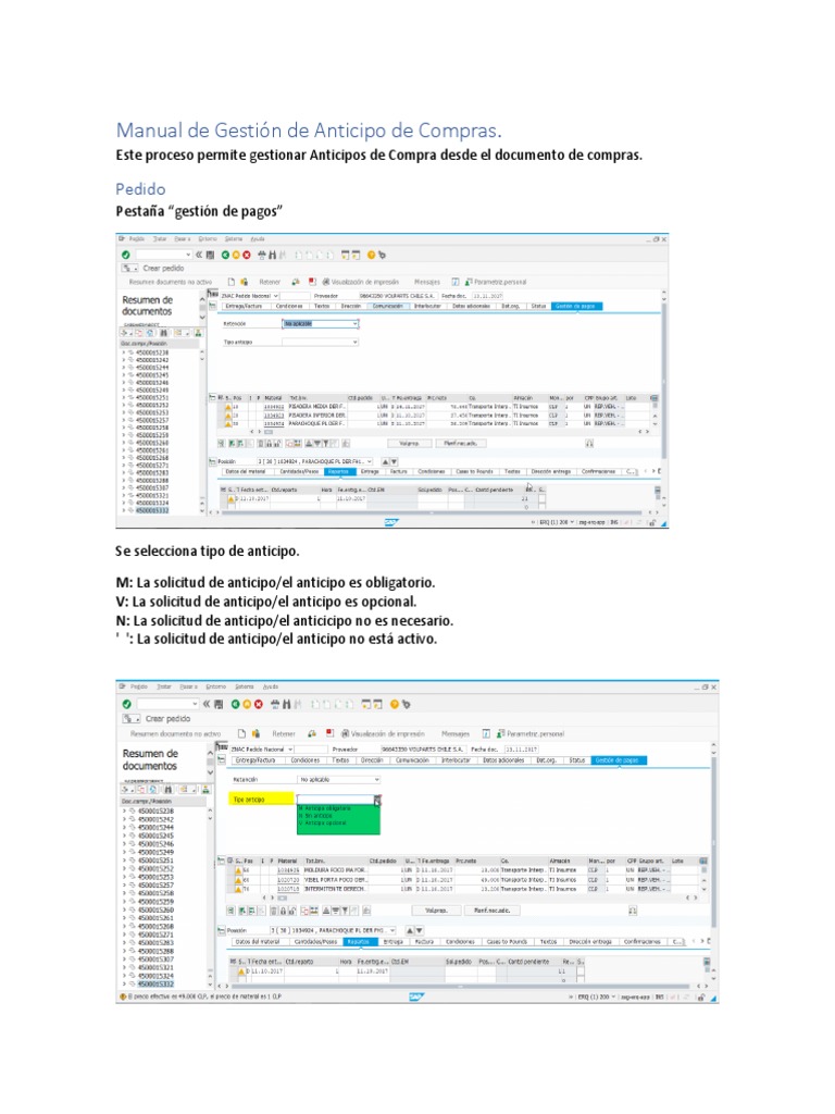 Manual de Gestión de Anticipo de Compras | PDF | Monitor de computadora