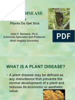 Diseases of Various Plants