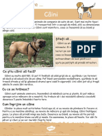 RO-T-L-5597-Dogs-Reading-Comprehension-Romanian_ver_1