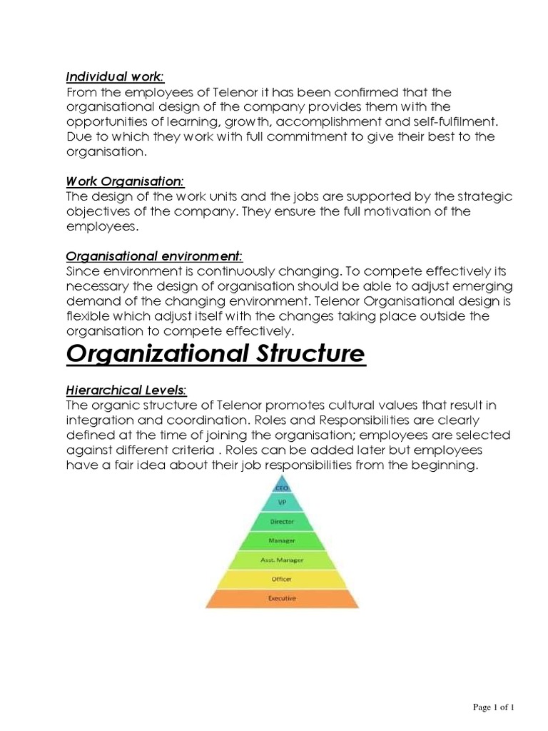 Organizational Structure: Individual Work | PDF