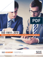 2. Traduccion Propia ISO19011 18