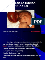 Patologia Indusa Prenatal 