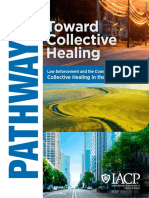 Pathways Toward Collective Healing