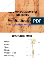 1. Aula de Anatomia Dos Membros Inferiores.2016.1
