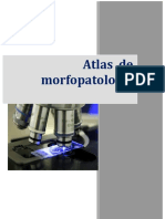 Atlas de Morfopatologie