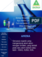 Amina Kel 4-1