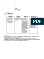 Partes externas cuerpo humano