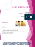 ....PPTCapacitación_Organizacional