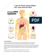 10 Hierbas - Sistema Inmunológico