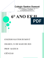 6°Ano EF II  SD  31-05