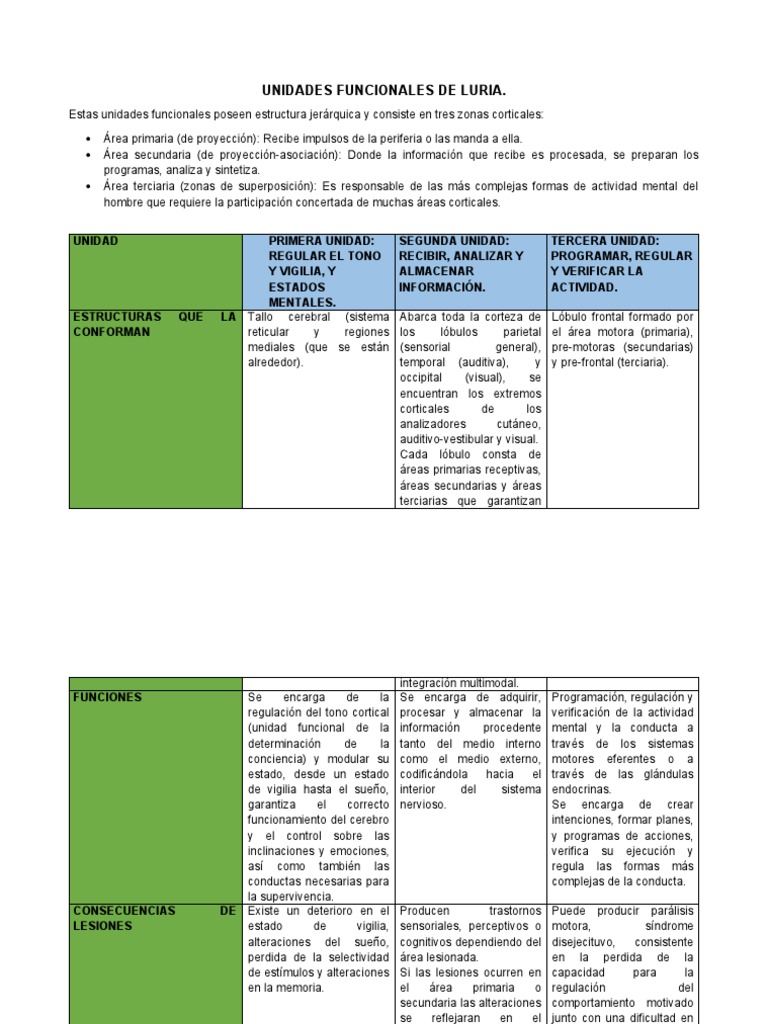 Tres Unidades Funcionales de Luria | PDF | Corteza cerebral | Órgano ...