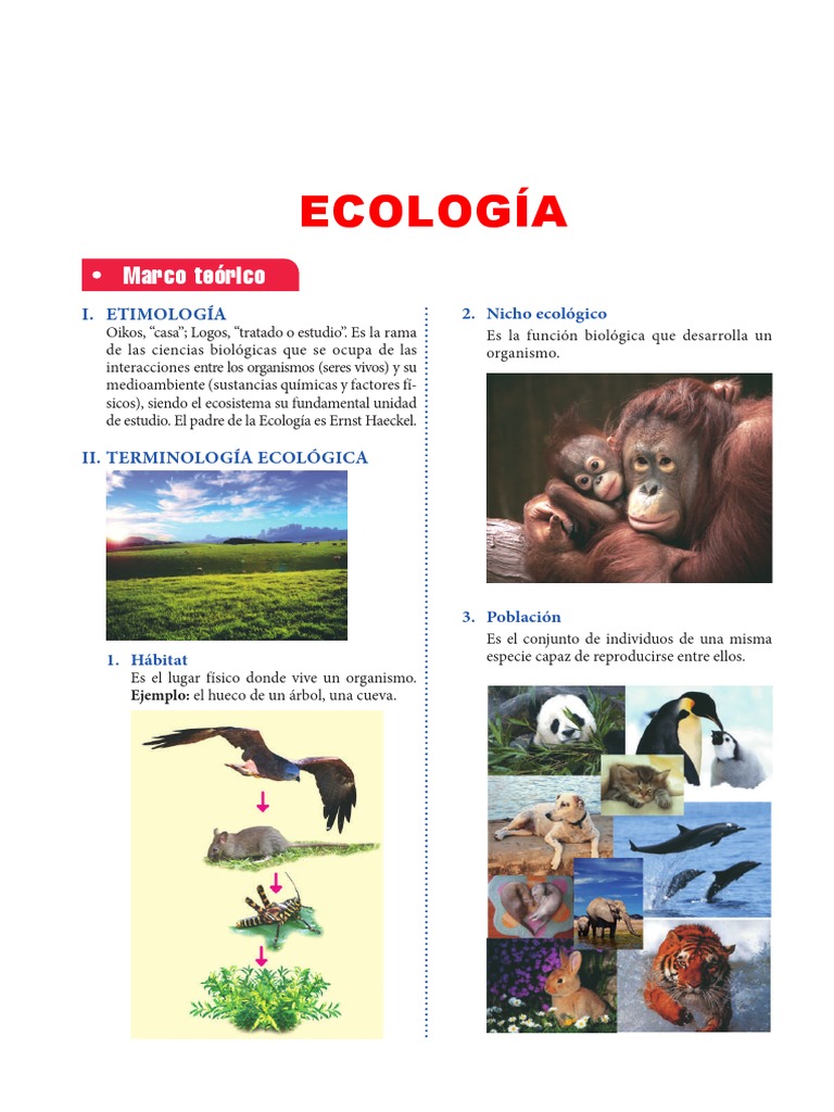 Conceptos Clave de Ecología y Ecosistemas | PDF | Ecología | Suelo