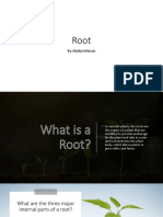 Root