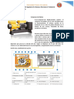 Compresor de Paleta