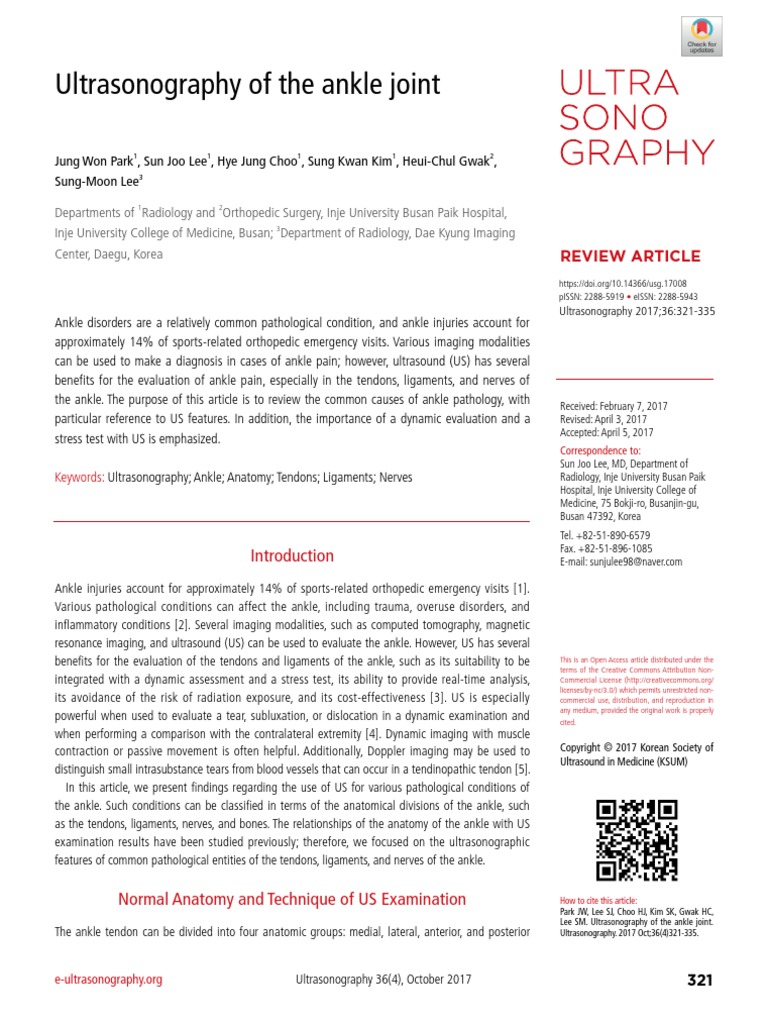 Usg 17008 PDF Ankle Limbs (Anatomy)