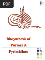 Biosynthesis of Purine & Pyrimidines