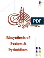 Biosynthesis of Purines & Pyrimidines