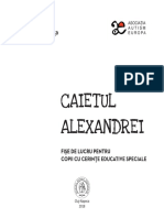 Caietul Alexandrei Bt