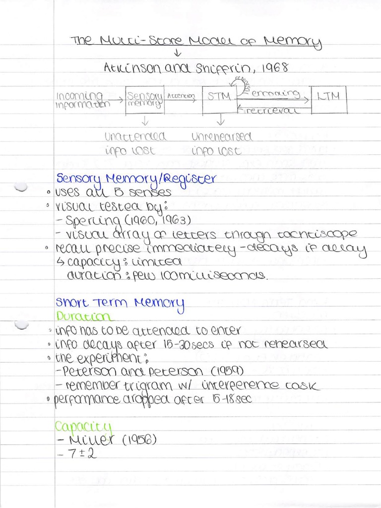 Cognitive Psychology Notes | PDF