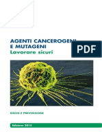 Agenti Cancerogeni e Mutageni