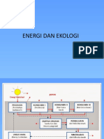Energi Dan Ekologi