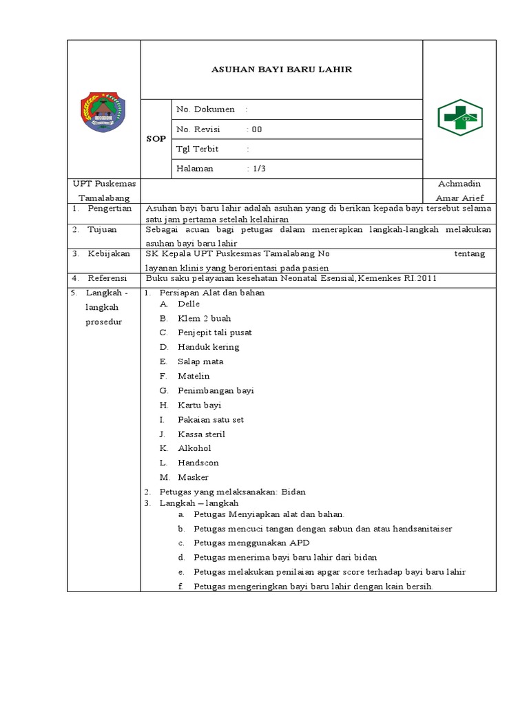 Asuhan Bayi Baru Lahir | PDF