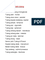 Nama Nama Latin Tulang Dan Otot