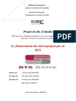 Projet de Fin D'études: Le Financement Des Microprojets Par La BTS