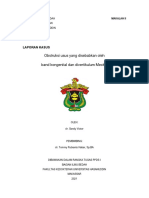 Divertikulum Meckel PDF